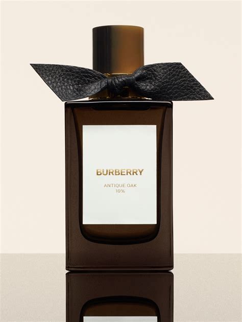 fedi burberry|burberry signatures for men.